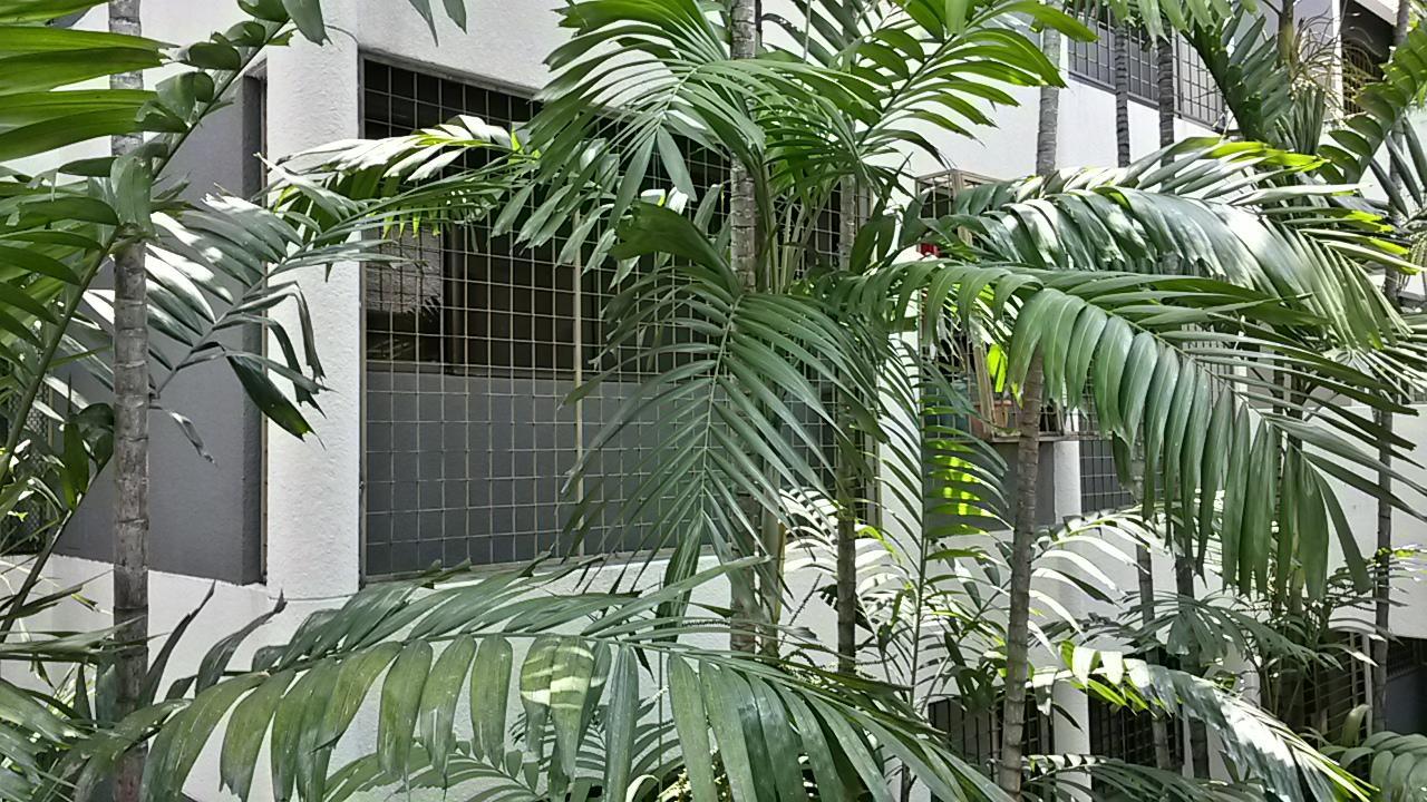 孟沙花园公寓 吉隆坡 外观 照片